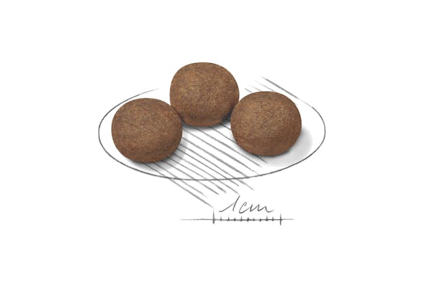 Royal Canin Medium Puppy Dry Food