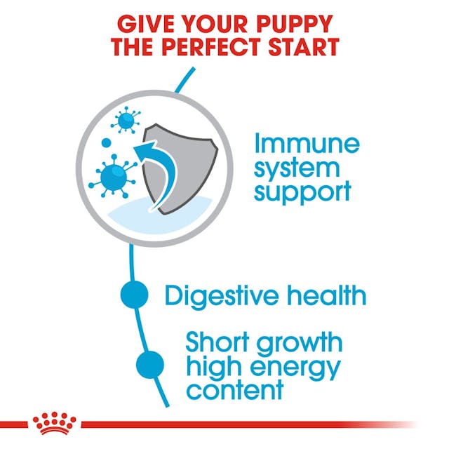 Royal Canin Medium Puppy Dry Food