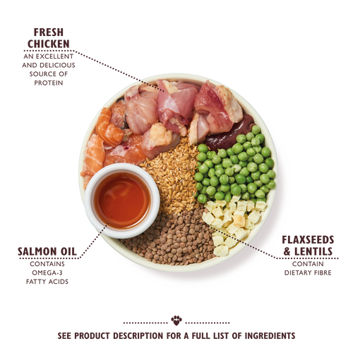 Lily's Kitchen Puppy Recipe with Chicken, Salmon & Peas Dry Food