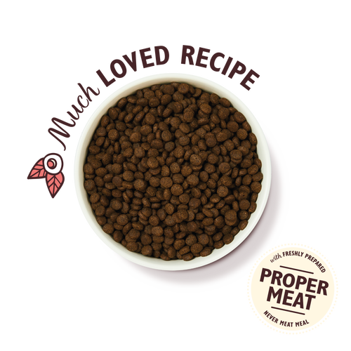 Lily's Kitchen Puppy Recipe with Chicken, Salmon & Peas Dry Food