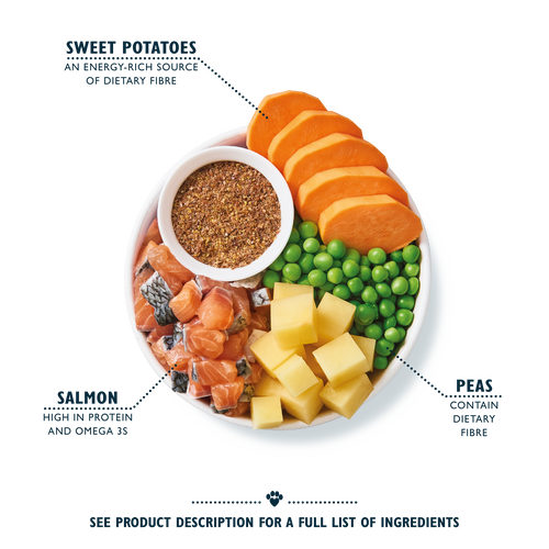 Lily's Kitchen Salmon Supper Adult Dog Dry Food