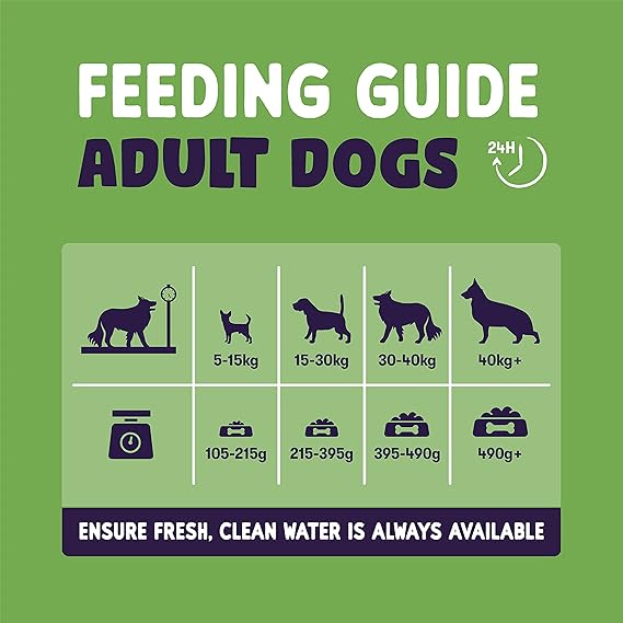 Burgess Sensitive Adult Lamb Dry Dog Food