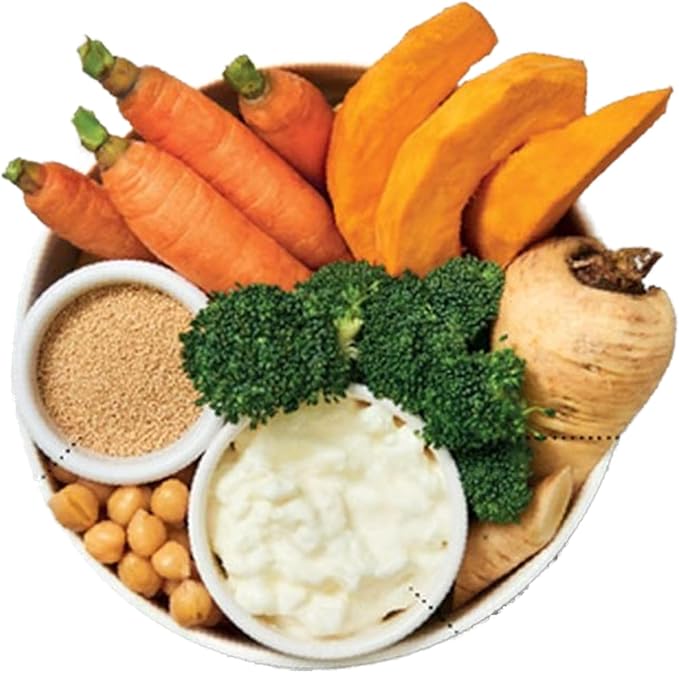 Lily's Kitchen Wholesome Veggie Feast Wet Dog Food