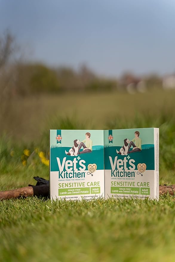 Vet's Kitchen Grain Free Lamb with Sweet Potato Wet Dog Food