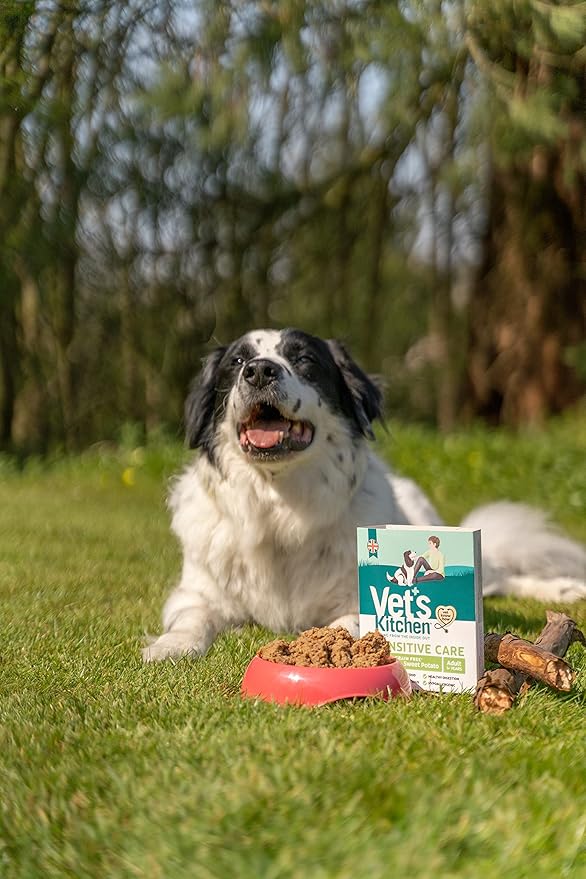 Vet's Kitchen Grain Free Lamb with Sweet Potato Wet Dog Food