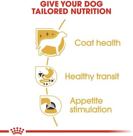 Royal Canin Chihuahua Adult Wet Dog Food