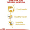 Royal Canin Chihuahua Adult Wet Dog Food