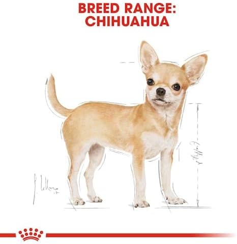 Royal Canin Chihuahua Adult Wet Dog Food