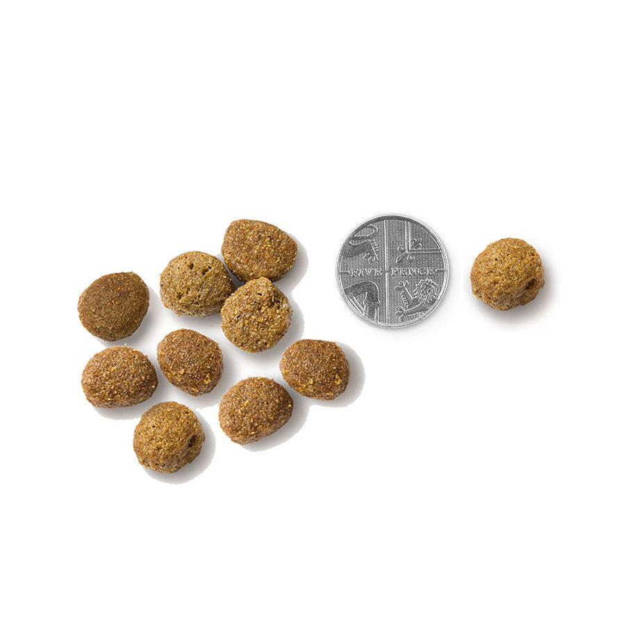 Vet's Kitchen Sensitive Care Grain Free