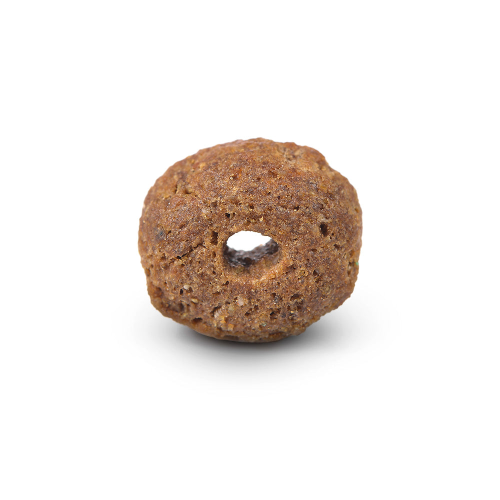 Arden Grange Puppy/Junior Large Breed Dry Food