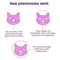 Feliway Friends Refill for Cats
