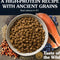 Taste of The Wild Ancient Stream Salmon Dry Dog Food