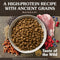 Taste of The Wild Ancient Wetlands with Roasted Fowl Dry Dog Food