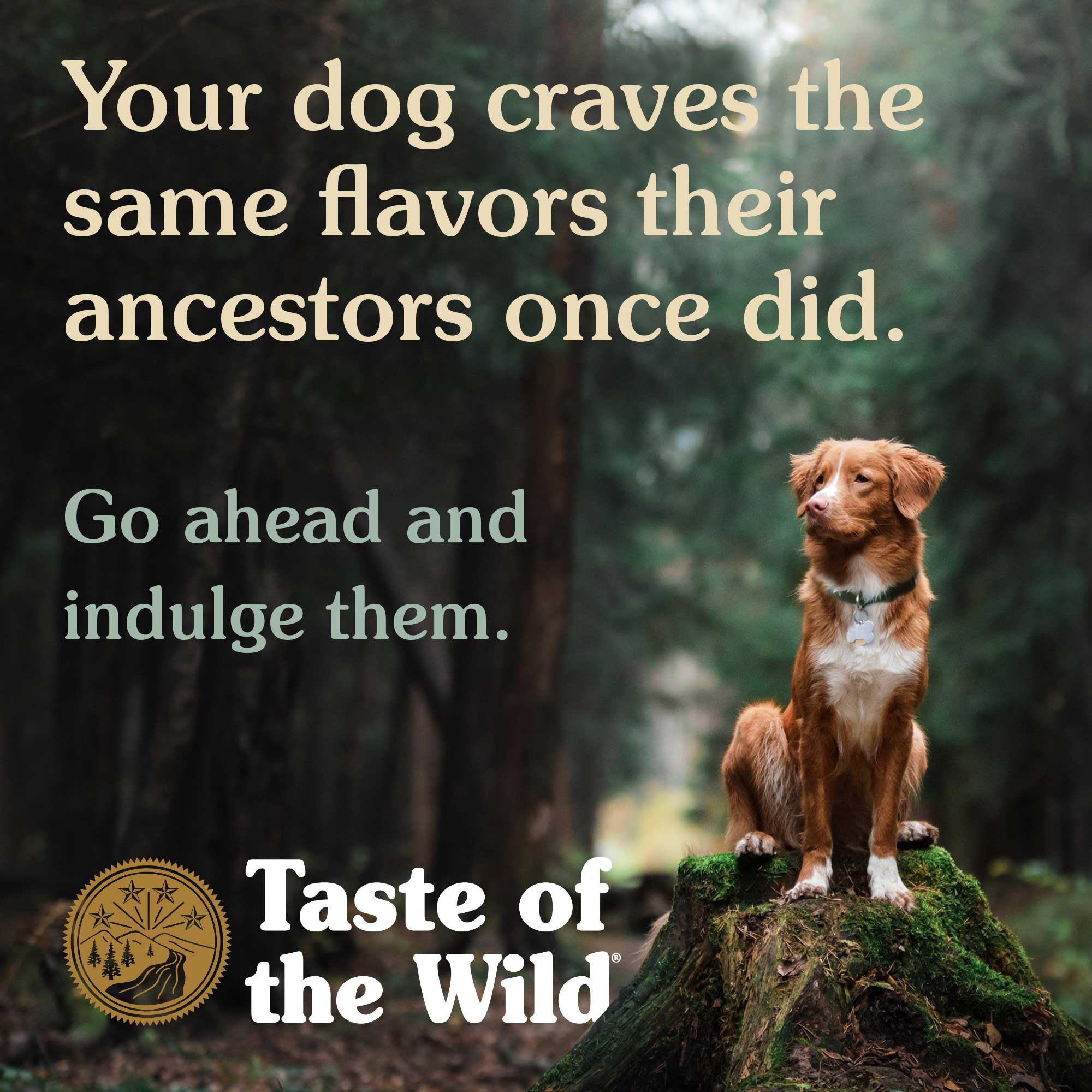Taste of The Wild Ancient Wetlands with Roasted Fowl Dry Dog Food