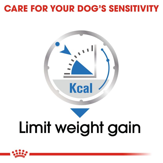 Royal Canin Light Weight Care Wet Food