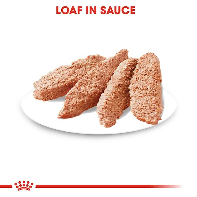 Royal Canin Light Weight Care Wet Food