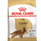 Royal Canin Cocker Spaniel Adult Dry Dog Food
