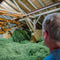 Samerberger Alpine Hay for Small Pets