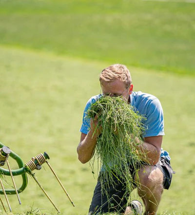 Samerberger Alpine Hay for Small Pets