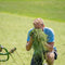 Samerberger Alpine Hay for Small Pets