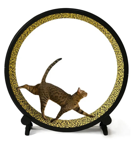 ONE FAST CAT Exercise Wheel 5th Generation Cat Toy