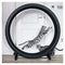 ONE FAST CAT Exercise Wheel 5th Generation Cat Toy