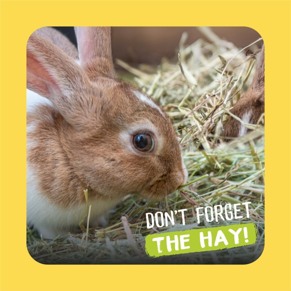 Burgess Excel Feeding Hay with Hedgerow Herbs