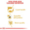 Royal Canin Yorkshire Terrier Adult Wet Dog Food
