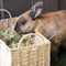 Burgess Excel Feeding Hay Dried Fresh Grass for Rabbits