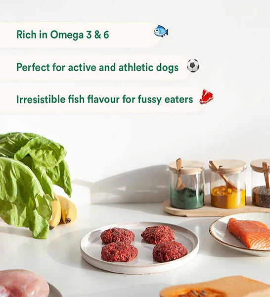 Wild Balance Complete BARF Menu Salmon for Dogs