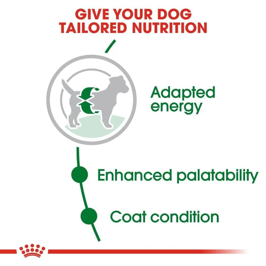 Royal Canin Mini Adult Dry Dog Food