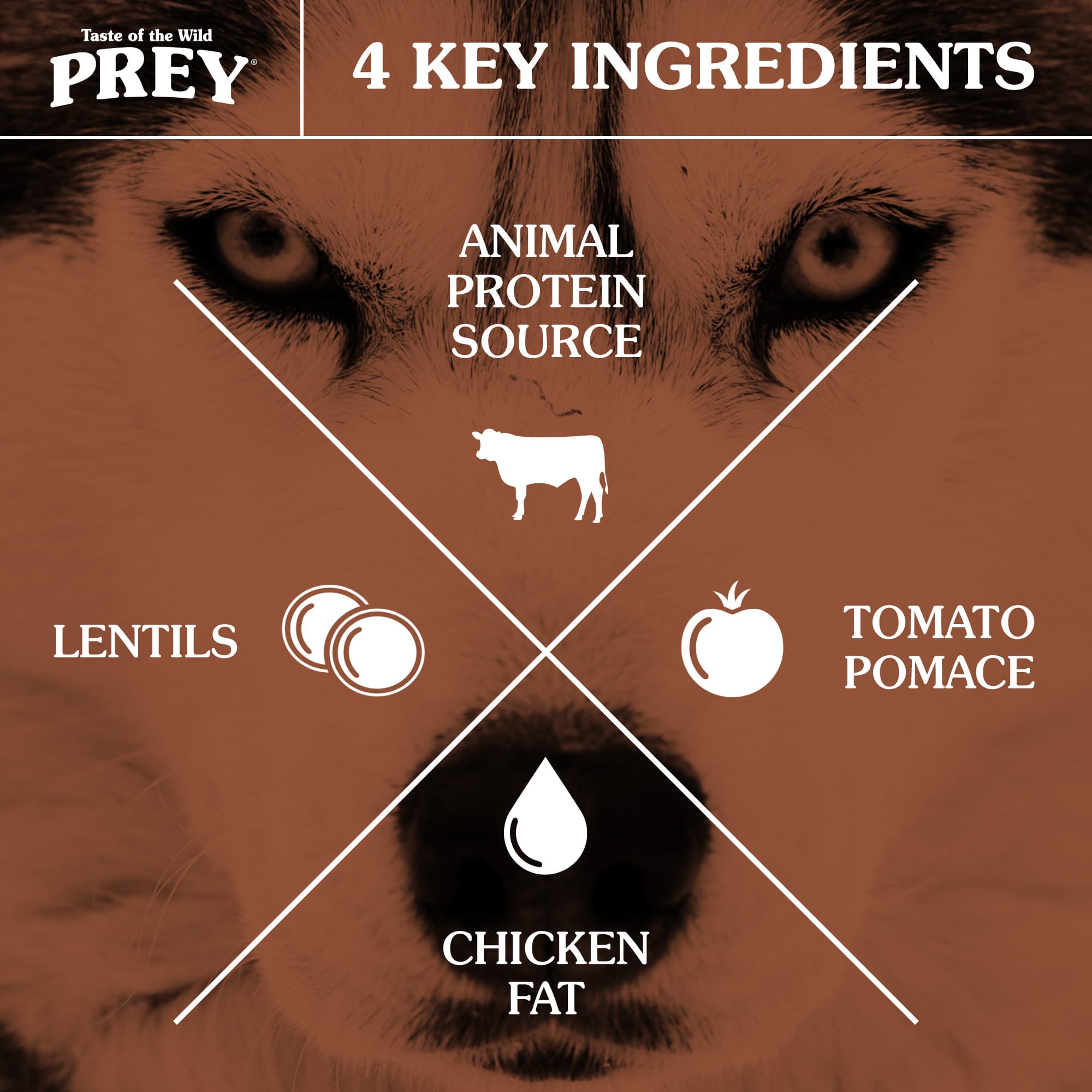 Taste of the Wild PREY Angus Beef Dry Dog Food