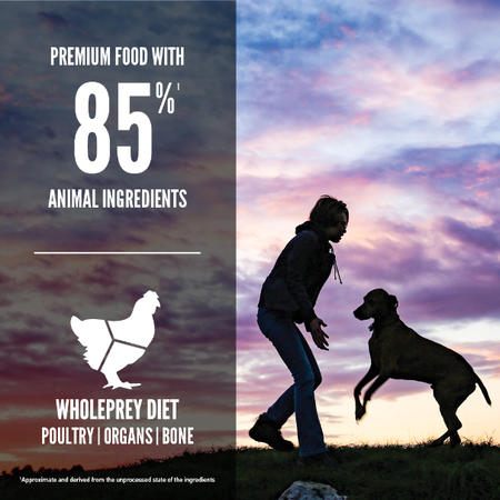 Orijen Puppy All Breed Dog Dry Food