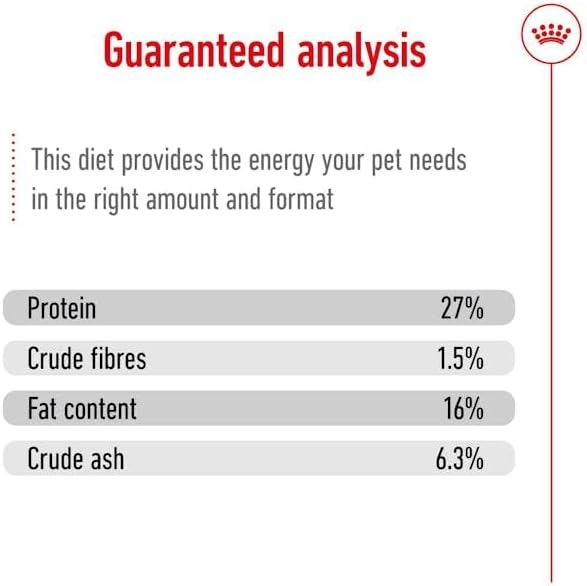Royal Canin Mini Adult 8+ Dry Dog Food