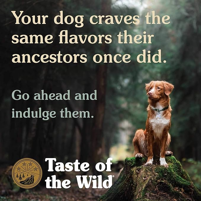 Taste of the Wild Wetlands Canine Fowl in Gravy Wet Dog Food