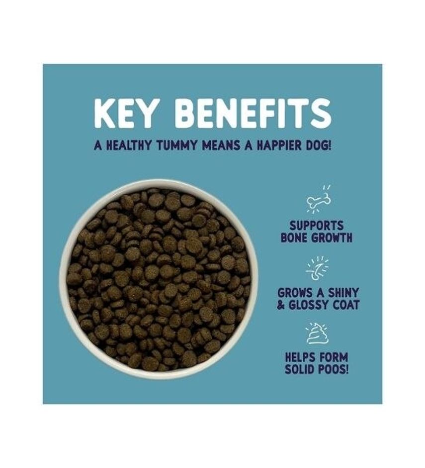 Burgess Sensitive Dry Puppy Food