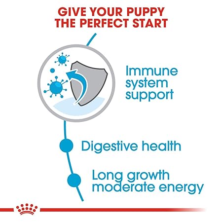 Royal Canin Maxi Puppy Dry Food