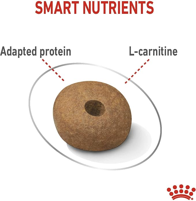 Royal Canin Medium Light Adult Dry Dog Food