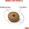 Royal Canin Medium Light Adult Dry Dog Food