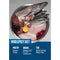 Orijen Original Adult Dry Dog Food