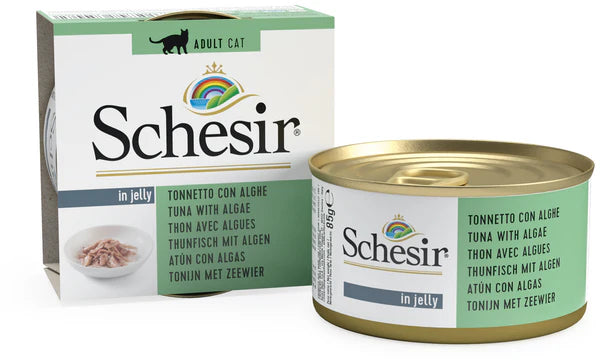 Schesir Tuna with Algae in Jelly Wet Cat Food