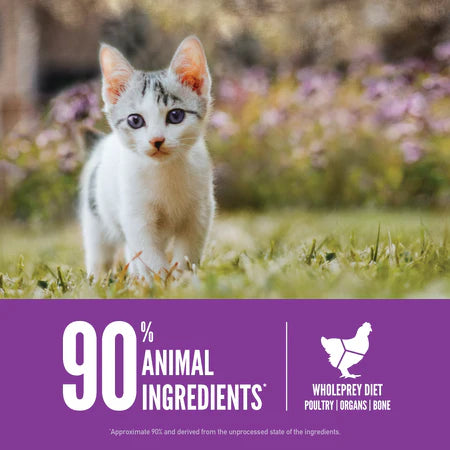 Orijen Kitten Dry Food