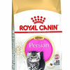 Royal Canin FBN Persian Kitten Feline Breed Nutrition Cat Food