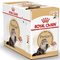 ROYAL CANIN FELINE BREED NUTRITION PERSIAN CAT WET FOOD