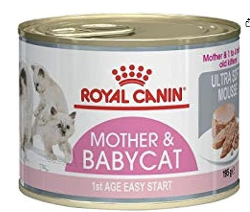 Royal Canin Feline Health Nutrition Kitten Sterilised Jelly Wet Food Pouches