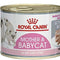 Royal Canin Feline Health Nutrition Kitten Sterilised Jelly Wet Food Pouches