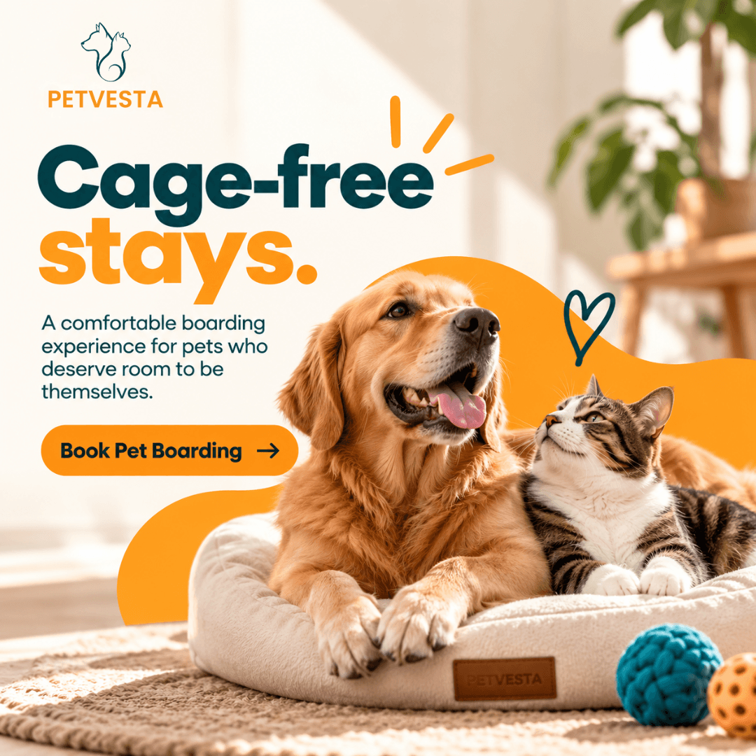 Welcome to Petvesta