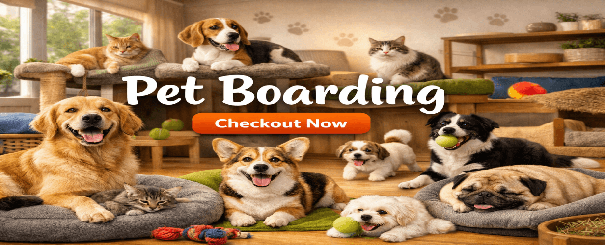 Pet care promotional banner