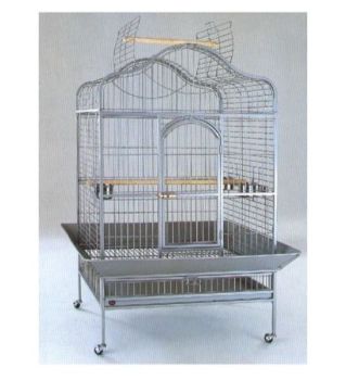 Bird Accessory