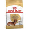 Royal Canin Dachshund Adult Dry Dog Food